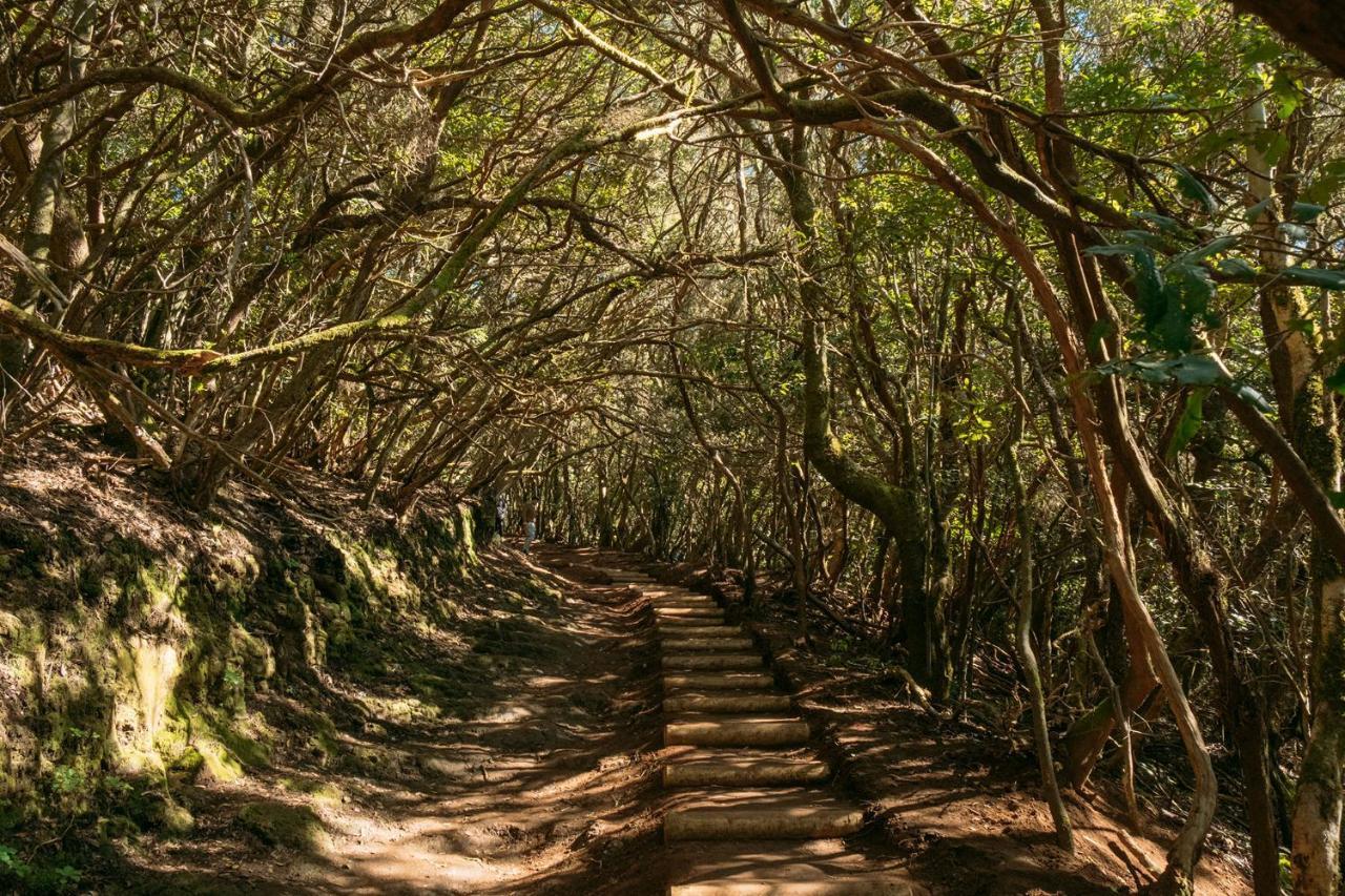 El Garajillo Daire Tejina Dış mekan fotoğraf